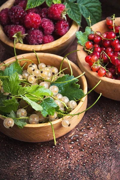 Rote und Weiße Johannisbeere Beeren — Stockfoto