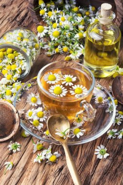 bardak bitki çayı papatya ile