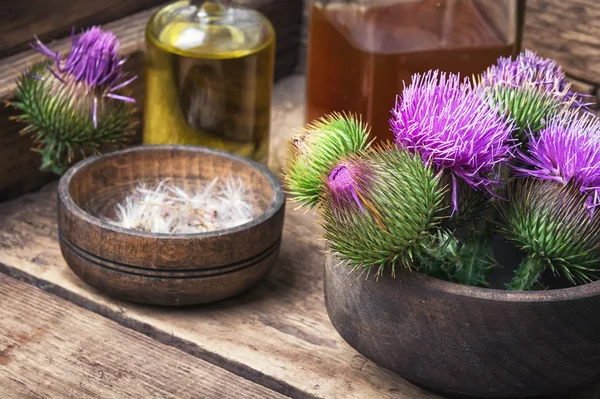 Schöne blühende Knospen Distel — Stockfoto