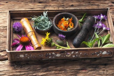 set sağlıklı otlar