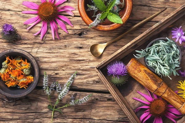 set sağlıklı otlar