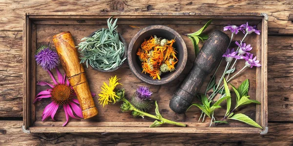 set sağlıklı otlar