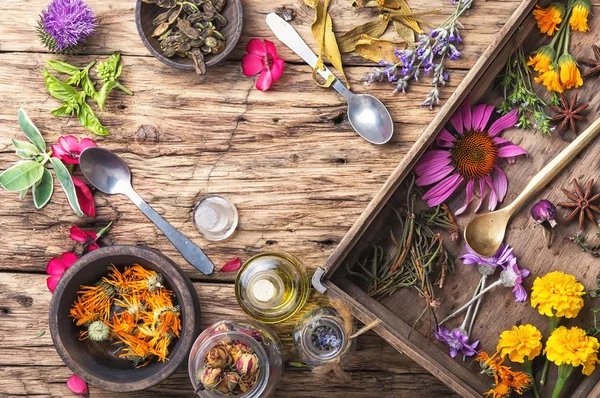 rengarenk sağlıklı otlar