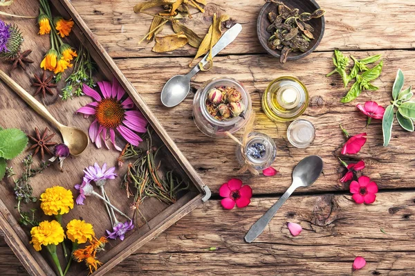 rengarenk sağlıklı otlar