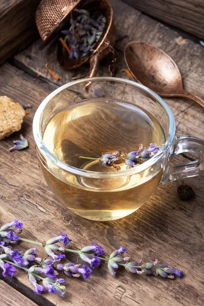 Levendula gyógyító, gyógynövény tea — Stock Fotó