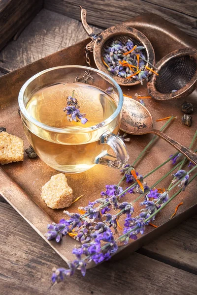 Levendula gyógyító, gyógynövény tea — Stock Fotó