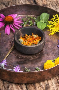 sağlıklı tedavi edici otlar