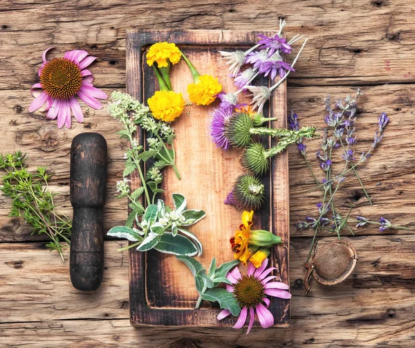 Poster sağlıklı otlar ile