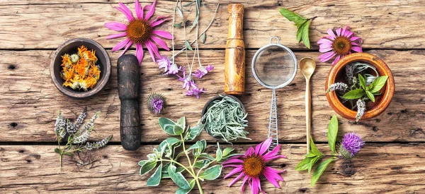 Long poster with healthy herbs — Stock Photo, Image