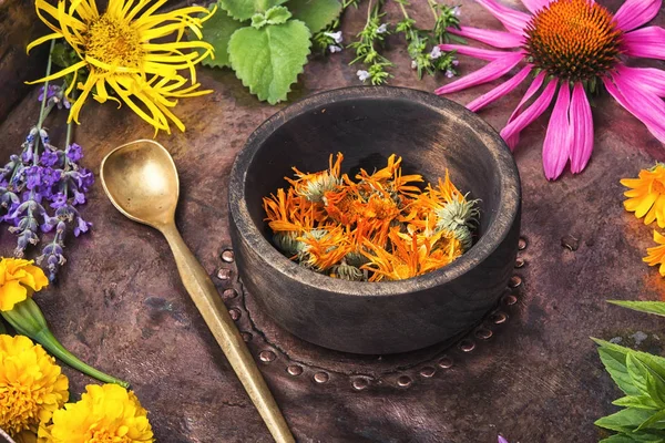 sağlıklı tedavi edici otlar