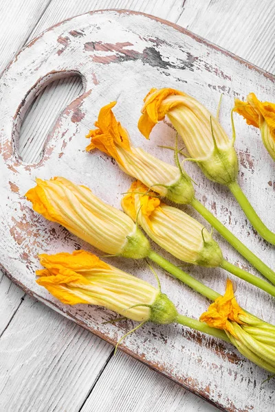黄色のカボチャの花 — ストック写真