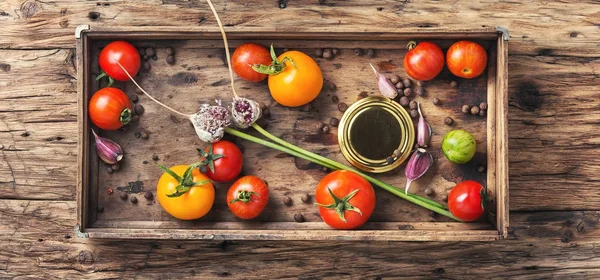 Domestic pickle tomato — Stock Photo, Image