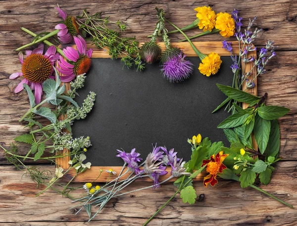 set sağlıklı otlar