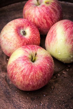 Sonbahar Kırmızı elma