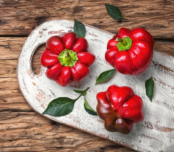 Red pepper rattunda — Stock Photo, Image