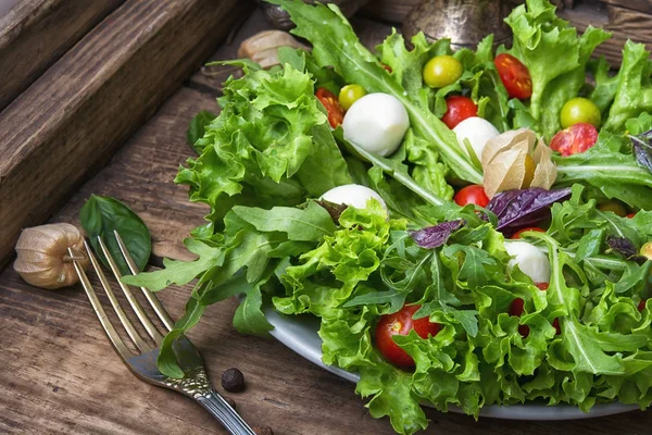 Kruidige lente groente salade — Stockfoto