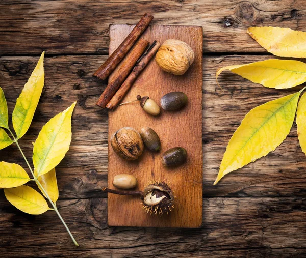 Fondo simbólico otoño — Foto de Stock