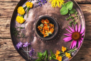 sağlıklı bitki ve çiçek,