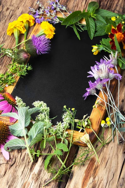 Zdravé bylinky a květiny, — Stock fotografie