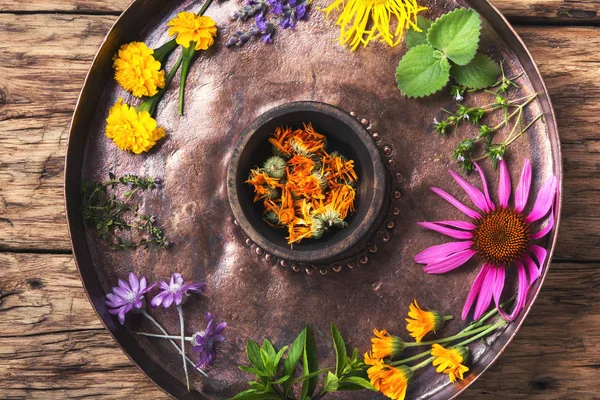 sağlıklı bitki ve çiçek,