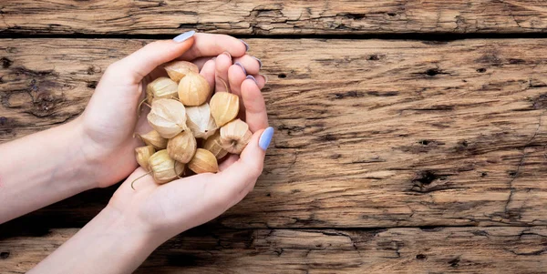 Handvol physalis van handen — Stockfoto