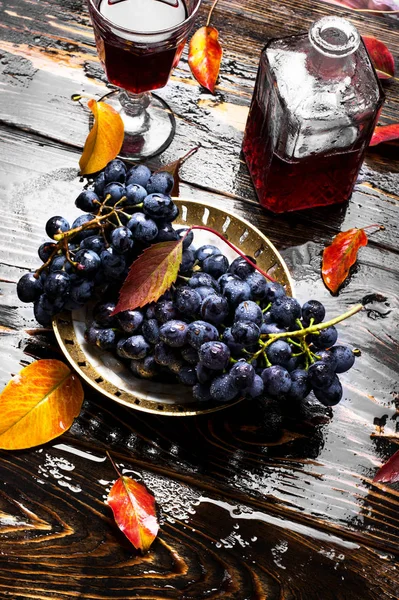 Вино из осеннего винограда — стоковое фото