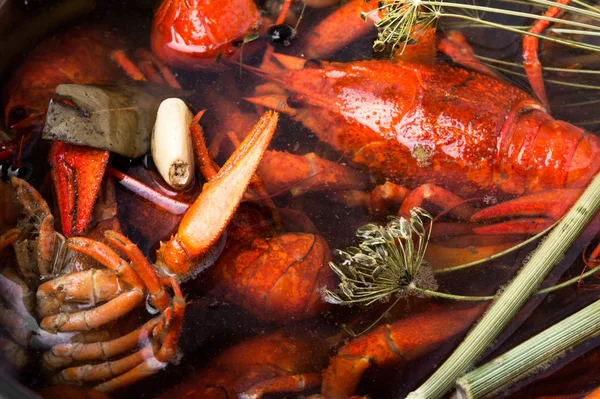 Coquillages bouillis dans une casserole — Photo