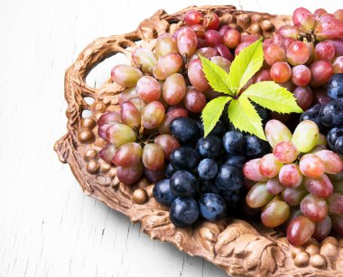 sonbahar olgunlaşmış üzümler