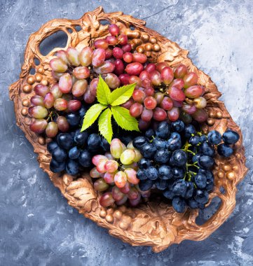 sonbahar olgunlaşmış üzümler