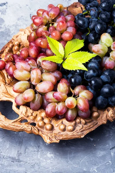 Uvas maduras no Outono — Fotografia de Stock