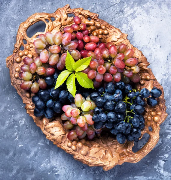 sonbahar olgunlaşmış üzümler