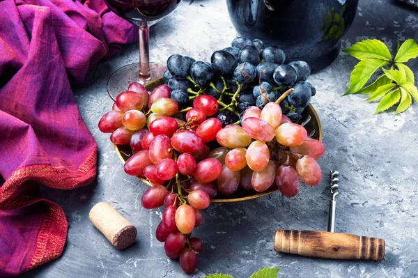 Vino rosso giovane — Foto Stock