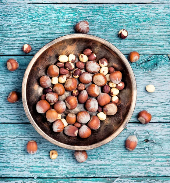 Set hazelnut nut — Stock Photo, Image