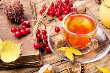 sonbahar çay Isınma