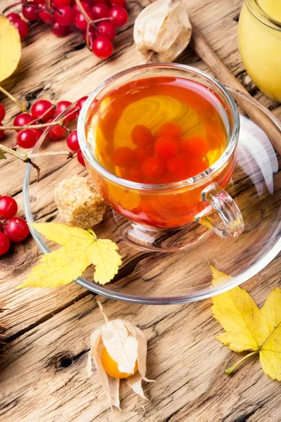 Chá de outono que aquece — Fotografia de Stock