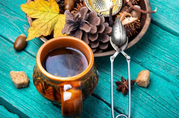 Herbal Autumn Tea — Stock Photo, Image