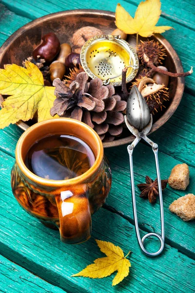 Herbal Autumn Tea — Stock Photo, Image