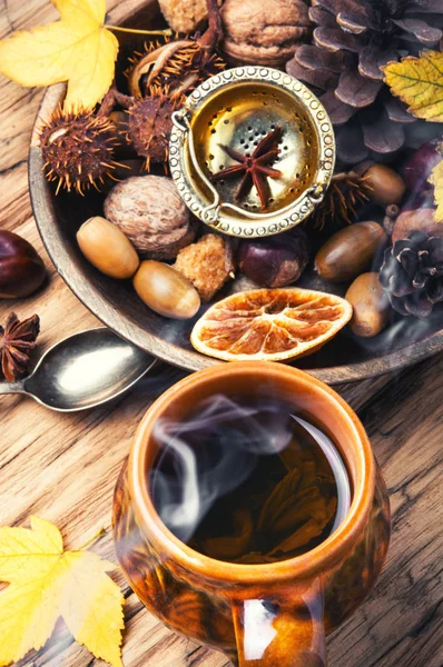 Herbal Autumn Tea — Stock Photo, Image