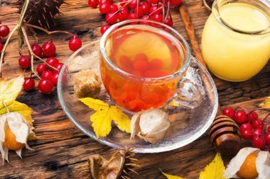 Sonbahar yapraklı bir fincan çay.