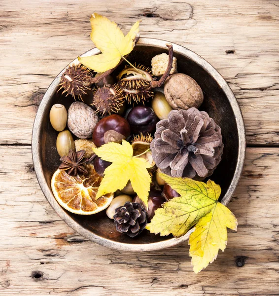 Symbolträchtiges Herbst-Ikebana — Stockfoto