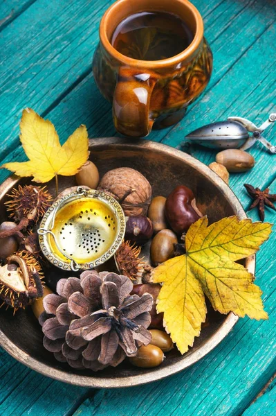 Herbal Autumn Tea — Stock Photo, Image