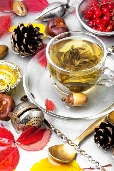 Cup of warming autumn tea — Stock Photo, Image