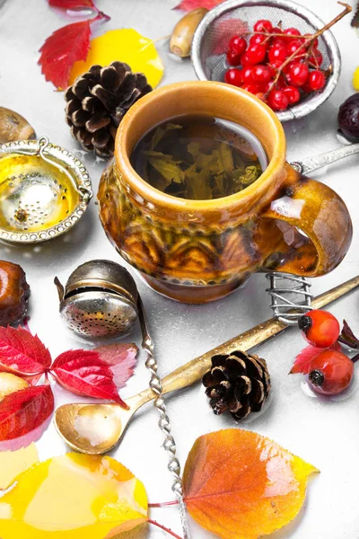 秋の茶会を温暖化のカップ — ストック写真