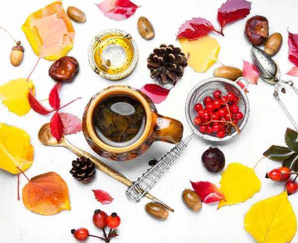 Fincan sıcak sonbahar çay — Stok fotoğraf