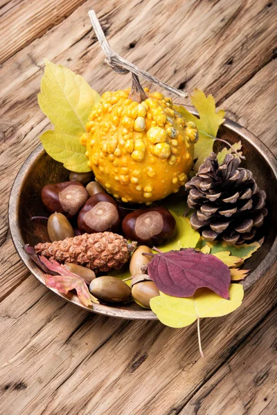 Symbolic autumn still life — Stock Photo, Image