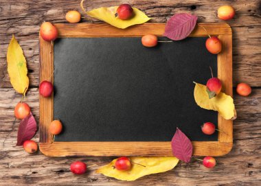 sembolik sonbahar arka plan