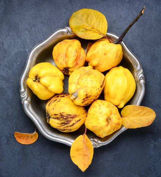 Autumn harvest of quince. — Stock Photo, Image