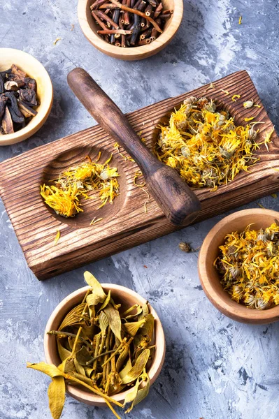 Conjunto de plantas medicinales secas —  Fotos de Stock