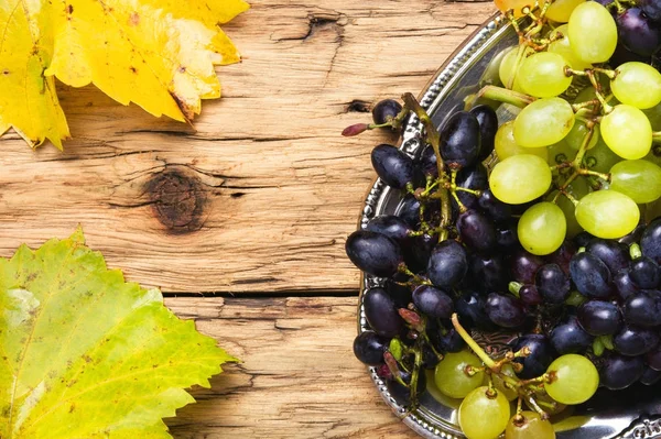 Uvas em uma bandeja — Fotografia de Stock