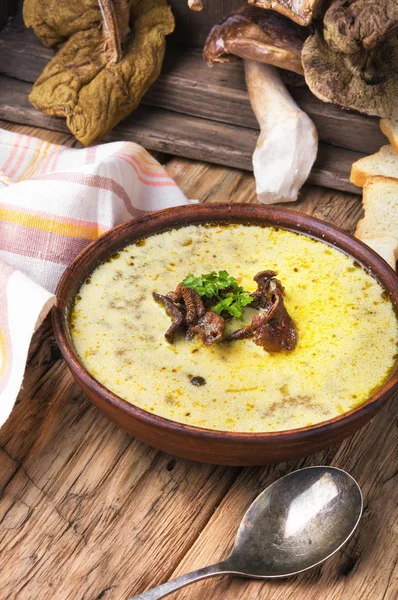 Rustic mushroom soup — Stock Photo, Image